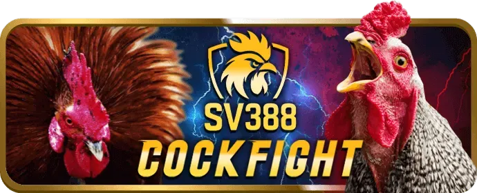 Cá cược bóng rổ acb vip